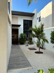 21 319,, Progreso, Yucatan 97336, Messico