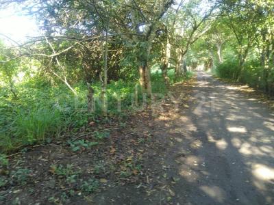 Parcela 1 Z-1,, Boca Del Río, וראקרוס 94290, מקסיקו 