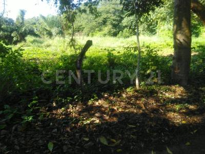 Parcela 1 Z-1,, Boca Del Río, וראקרוס 94290, מקסיקו 