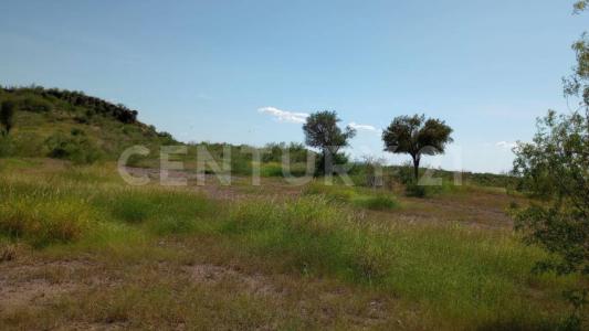 Cajeme, Sonora 85000, Mexico