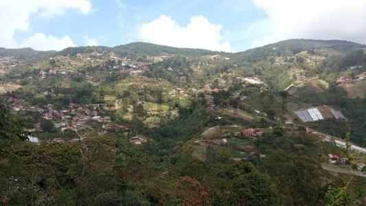 La Colonia Tovar, Aragua 00001, Venezuela