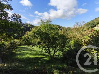 ויין, רון-אלפ 38200, צרפת