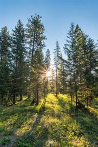 18 Baldy Mountain View Road, Plains, Montana 59859