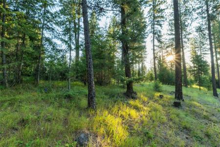 18 Baldy Mountain View Road, Plains, Montana 59859