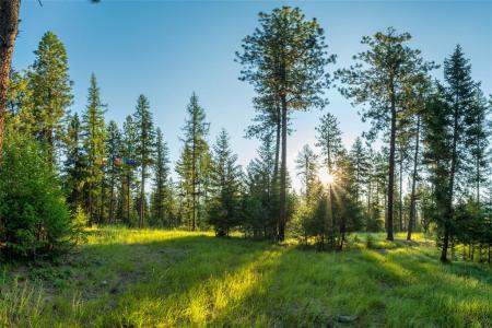 18 Baldy Mountain View Road, Plains, Montana 59859