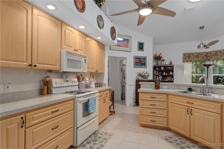 8859 N Amboy Way, Citrus Springs, Florida 34434