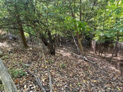 22321 Margareta Street, Detroit, מישיגן 48219, ארצות הברית של אמריקה 