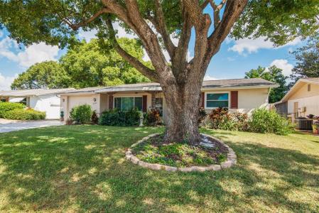 3802 Mynabird Dr, New Port Richey, フロリダ 34652, アメリカ合衆国