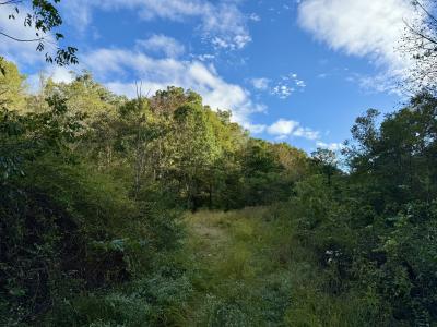 806 Brandon Hollow Rd, Lynchburg, 田纳西州 37388, 美国