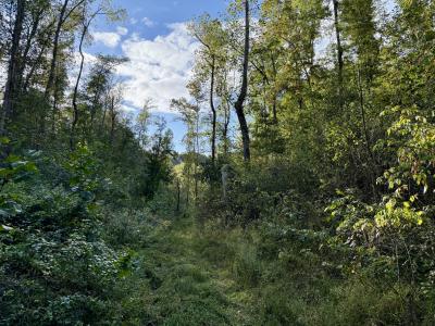 806 Brandon Hollow Rd, Lynchburg, 田纳西州 37388, 美国