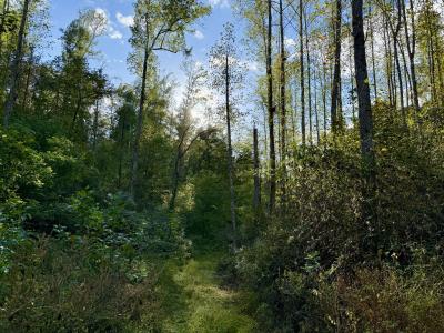 806 Brandon Hollow Rd, Lynchburg, 田纳西州 37388, 美国