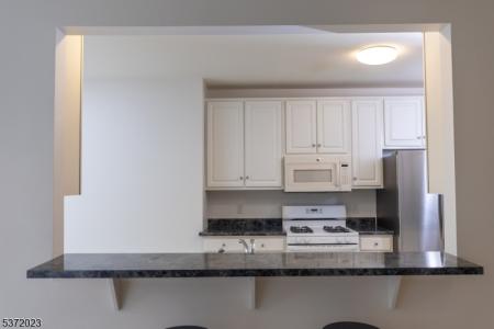 1111 Clinton Ln Ln , 111, Rockaway Twp., New Jersey 07866-5821