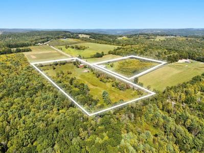 834 Dry Brook Rd, Waverly, New York 14892, États-Unis