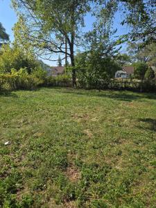 19235 Lamont, Detroit, Michigan 48234