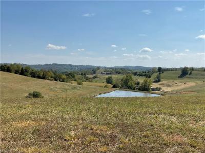 470 New Haven Rd., Mount Alto, West Virginia 25264, Estados Unidos