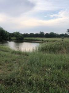 Lot 2 Hummingbird Lane, Stillwater, Oklahoma 74074, États-Unis