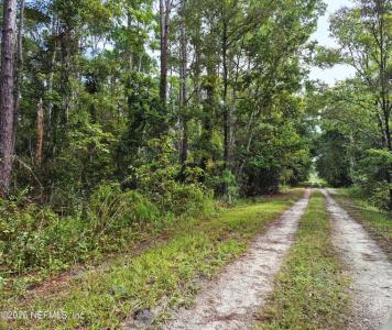 214 Dogwood Ave, Georgetown, 佛罗里达州 32139, 美国