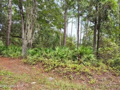 214 Dogwood Ave, Georgetown, 佛罗里达州 32139, 美国