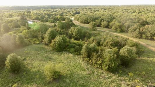 Lot 2 PR 4552, Mt Pleasant, Texas 75455, Estados Unidos