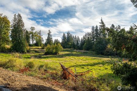 1970 Salzer Creek Drive , Lot 9, Centralia, Washington 98531, USA