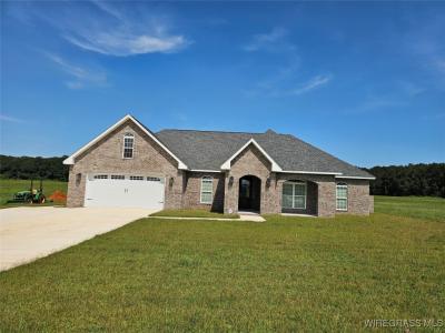 7720 County Road 625 Road, New Brockton, Alabama 36351, USA