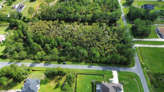 Bassett Avenue, ORLANDO, Flórida 32833, Estados Unidos