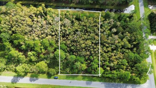 Bassett Avenue, ORLANDO, فلوريدا 32833, الولايات المتحدة