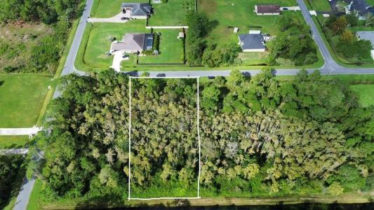 Bassett Avenue, ORLANDO, فلوريدا 32833, الولايات المتحدة