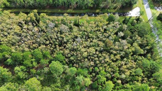 Bassett Avenue, ORLANDO, فلوريدا 32833, الولايات المتحدة