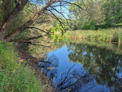 XXX State Hwy 169, Onamia Twp, Minnesota 56359, USA
