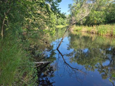 XXX State Hwy 169, Onamia Twp, Minnesota 56359, Estados Unidos