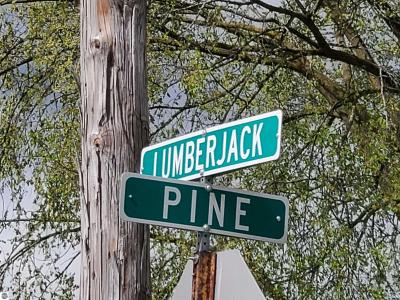 TBD N Lumberjack Road, Riverdale, Мичиган 48877, Соединенные Штаты