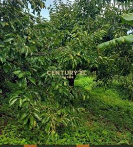 峨嵋段, Emei Township, Hsinchu County 315, Taiwan