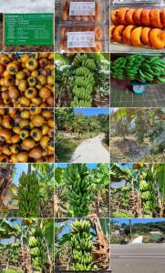 峨嵋段, Emei Township, Hsinchu County 315, 台湾