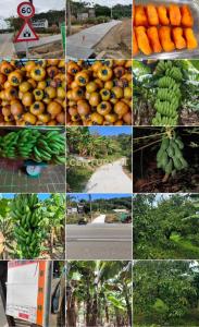 峨嵋段, Emei Township, Hsinchu County 315, 台湾