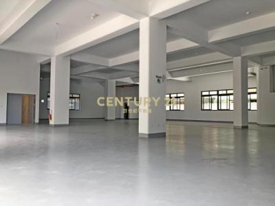 中福路二段, 中壢區, Taoyuan 320, Tajwan