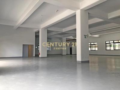 中福路二段, 中壢區, Taoyuan 320, Tajwan