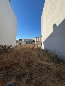 Mirandela, Braganza 5370-429, Portugal