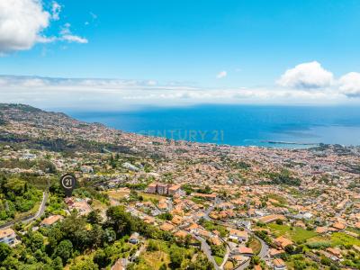 Funchal, ماديرا 9050-210, البرتغال