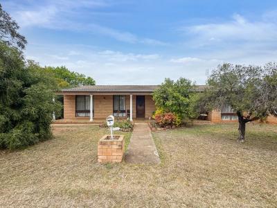 5 Jacaranda Street, Forbes, NSW 2871, Australia