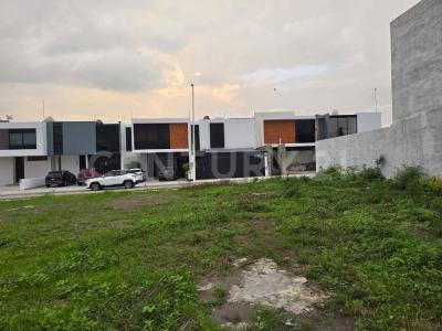 Punta Norte 2- San Isidro Labrador 264,, Colima, Colima 28017, Mexiko