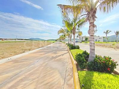 AV GUAYACANES 40,, Mazatlán, Sinaloa 82129, Mexico