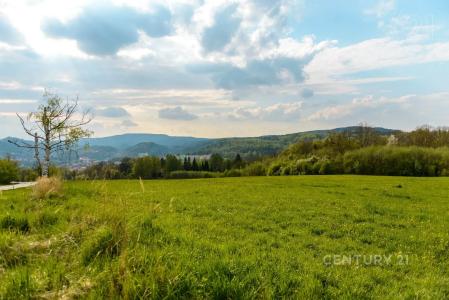 Děčín, Děčín, 捷克共和国