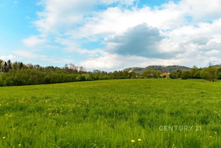 Děčín, Děčín, 捷克共和国