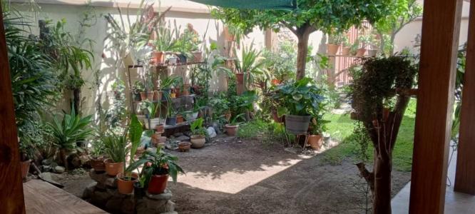 Humberto Machicado 172, Oeste, Cochabamba 00001, Bolívia