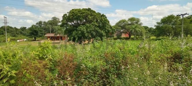 Este, Santa Cruz 00001, Bolivia