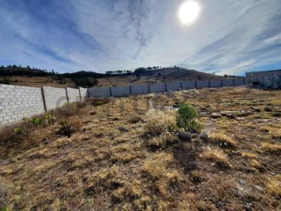 Sucre, Chuquisaca 00001, Bolivia