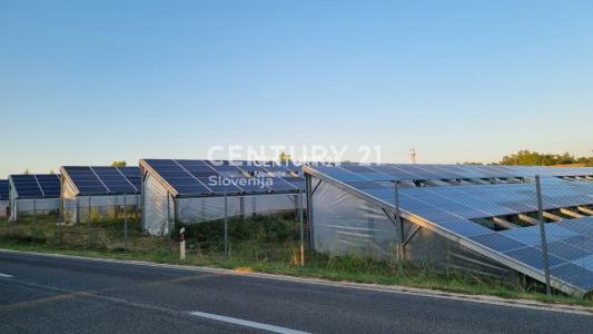 Slovenska Bistrica, Slovenska Bistrica, Podravska 2310, Slovenia