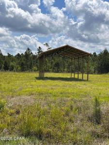252 Jarrot Daniels Road, Wewahitchka, Florida 32465, Stati Uniti