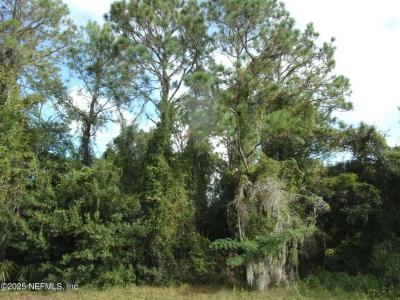 SAN MATEO Road, Satsuma, פלורידה 32189, ארצות הברית של אמריקה